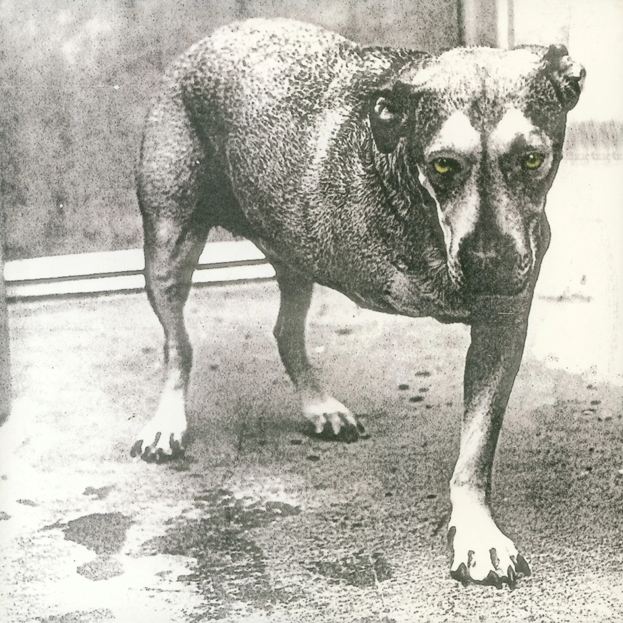 Alice In Chains - Alice In Chains (30th Anniversary) (Highli