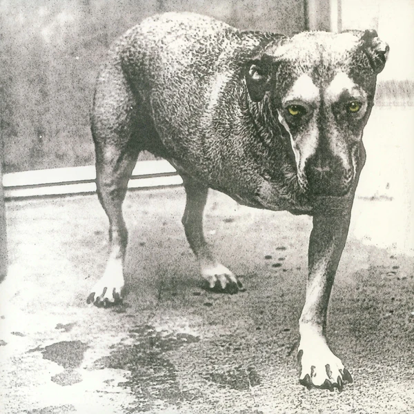Alice In Chains - Alice In Chains (30th Anniversary) (Highli
