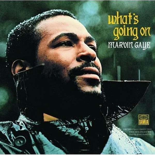 Marvin Gaye – What's going on winyl