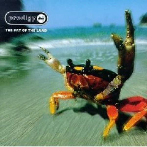 The Prodigy – The Fat of the Land winyl