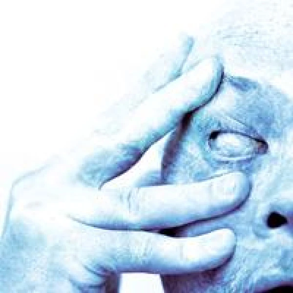 Porcupine Tree - In Absentia winyl