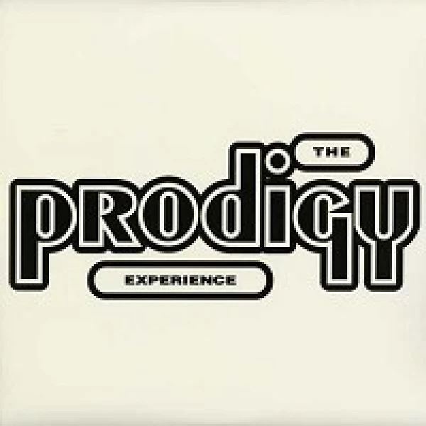 The Prodigy - Experience winyl