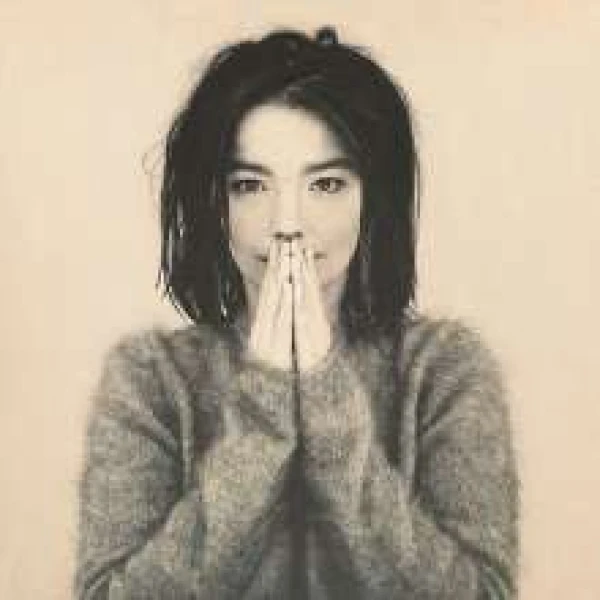 Bjork - Debut winyl