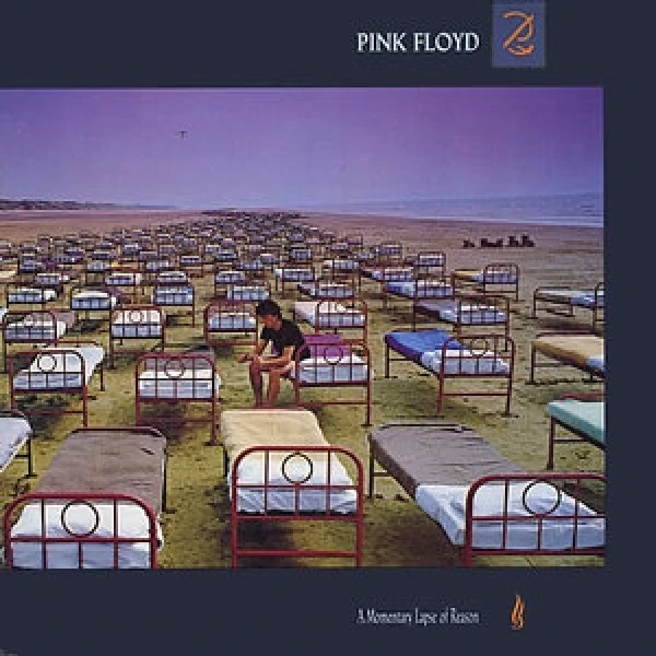 Pink Floyd - A Momentary Lapse Of Reason winyl