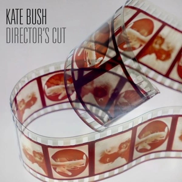 Kate Bush - Director's Cut winyl
