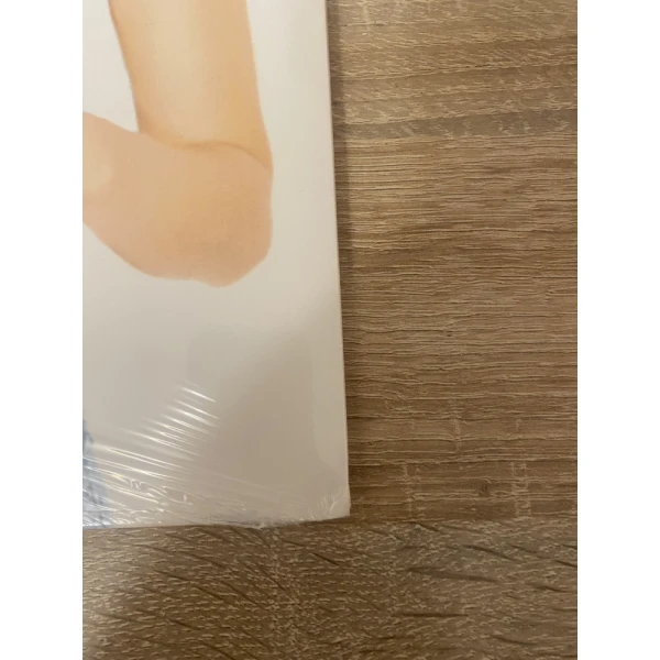 Céline Dion - Falling Into You