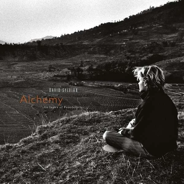 David Sylvian - Alchemy: An Index Of Possibilities (remaster