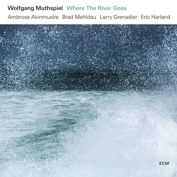 Wolfgang Muthspiel - Where The River Goes winyl