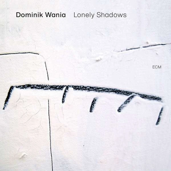 Dominik Wania - Lonely Shadows winyl