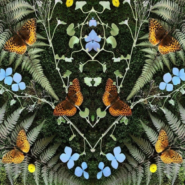 Jean-Michel Blais - Aubades winyl