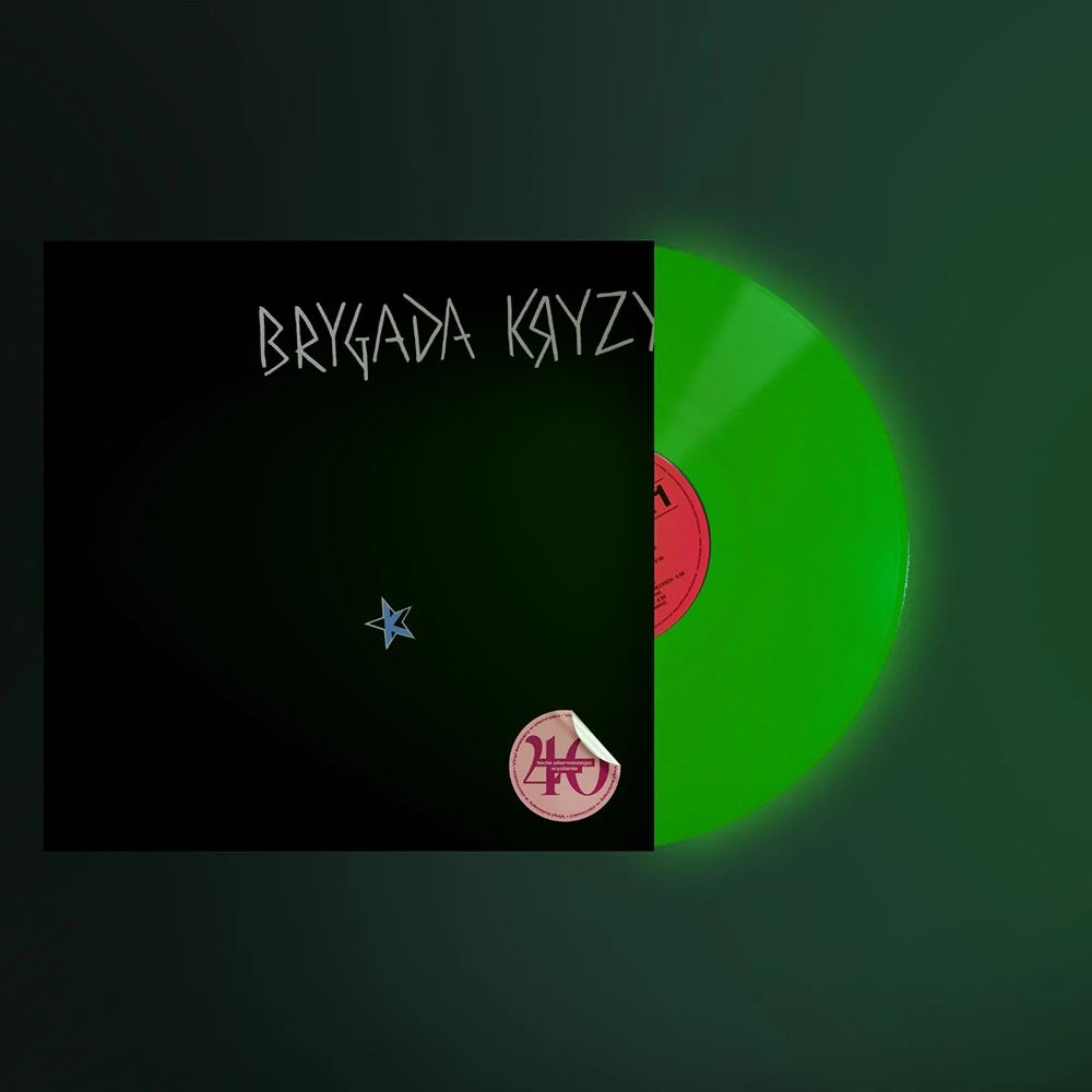 Brygada Kryzys - Brygada Kryzys winyl