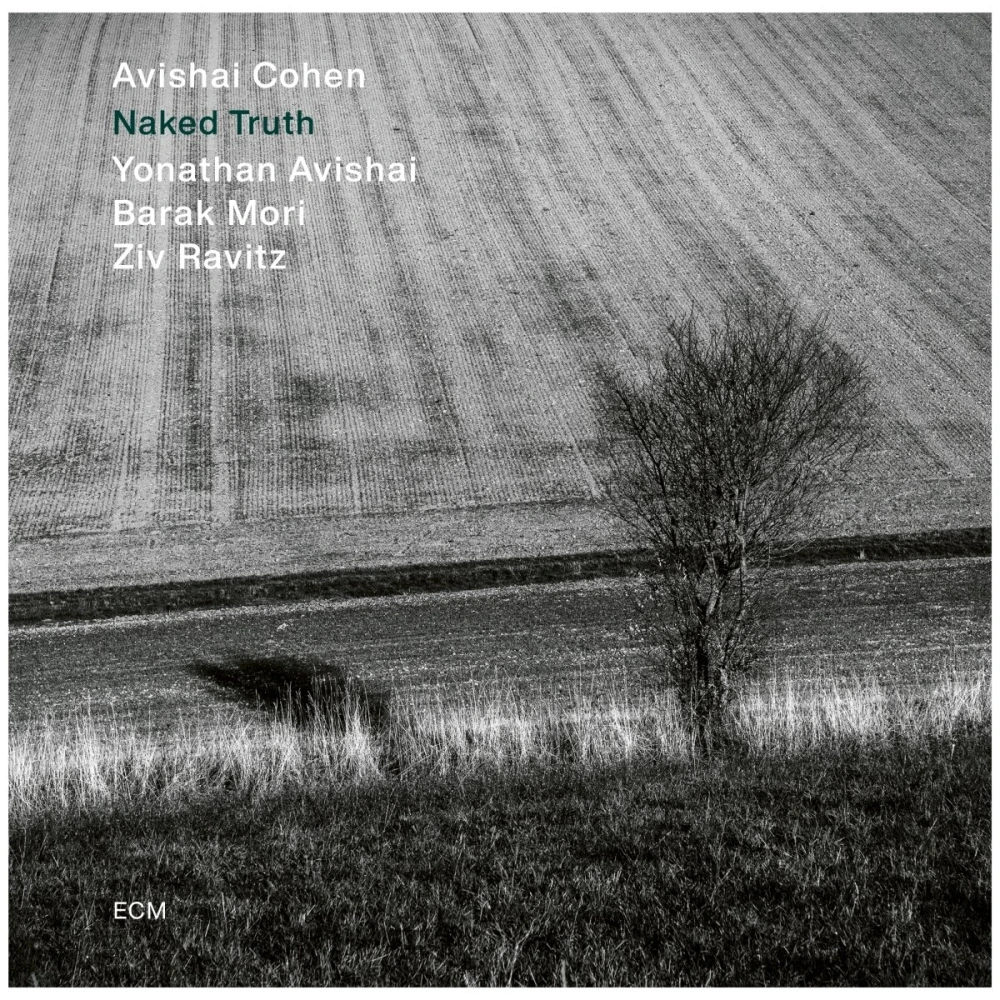 Avishai Cohen - Naked Truth winyl