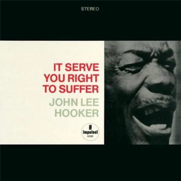 John Lee Hooker - It Serve You Right To Suffer ( Acoustic So