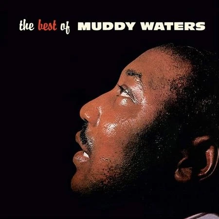 Muddy Waters - The Best Of Muddy Waters winyl