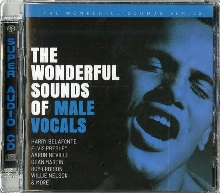 Various Artists - The Wonderful Sounds Of Male Vocals hybrid
