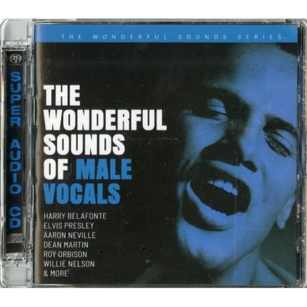 Various Artists - The Wonderful Sounds Of Male Vocals hybrid