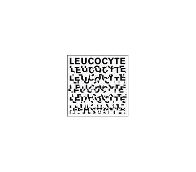 E.S.T - Leucocyte winyl