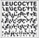 E.S.T - Leucocyte winyl