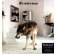 Grinderman – 2 winyl