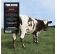 Pink Floyd - Atom Heart Mother winyl