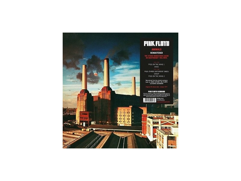Pink Floyd - Animals winyl na zamówienie