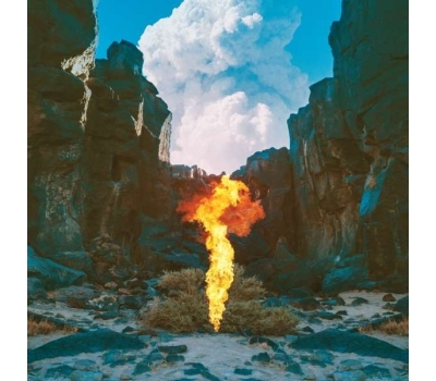  Bonobo (Simon Green) - Migration (180g) winyl