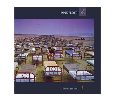 Pink Floyd - A Momentary Lapse Of Reason winyl na zamówienie