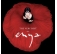 Enya - Very Best Of Enya  winyl