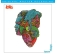  Love - Forever Changes  (Numbered Limited Edition)