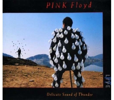 Pink Floyd - Delicate Sound Of Thunder (180g)winyl na zamówienie 