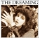 Kate Bush - Dreaming winyl