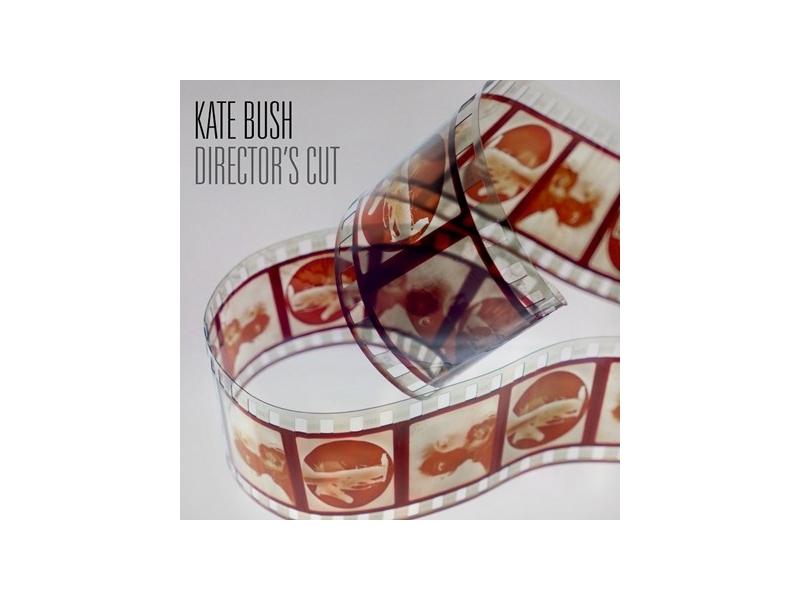 Kate Bush - Director's Cut winyl