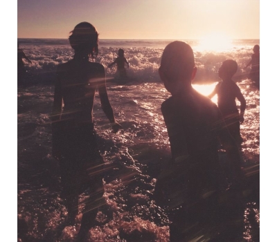   Linkin Park - One More Light winyl