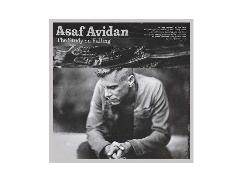 Asaf Avidan - The Study On Falling winyl