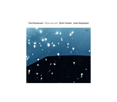 Tord Gustavsen Simin Tander & Jarle Vespestad - What Was Said winyl