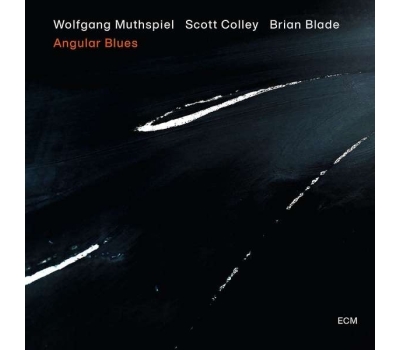 Wolfgang Muthspiel - Angular Blues winyl