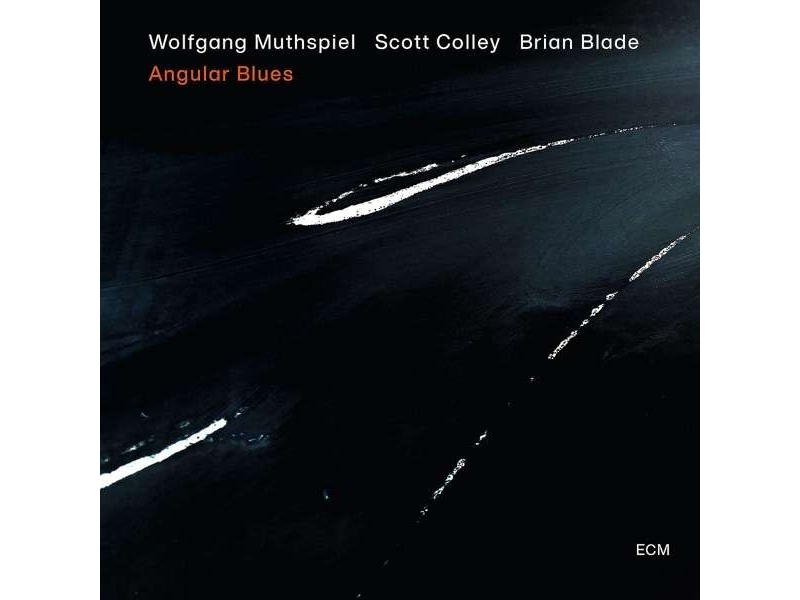 Wolfgang Muthspiel - Angular Blues winyl