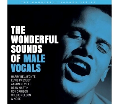 Various Artists - The Wonderful Sounds Of Male Vocals winyl