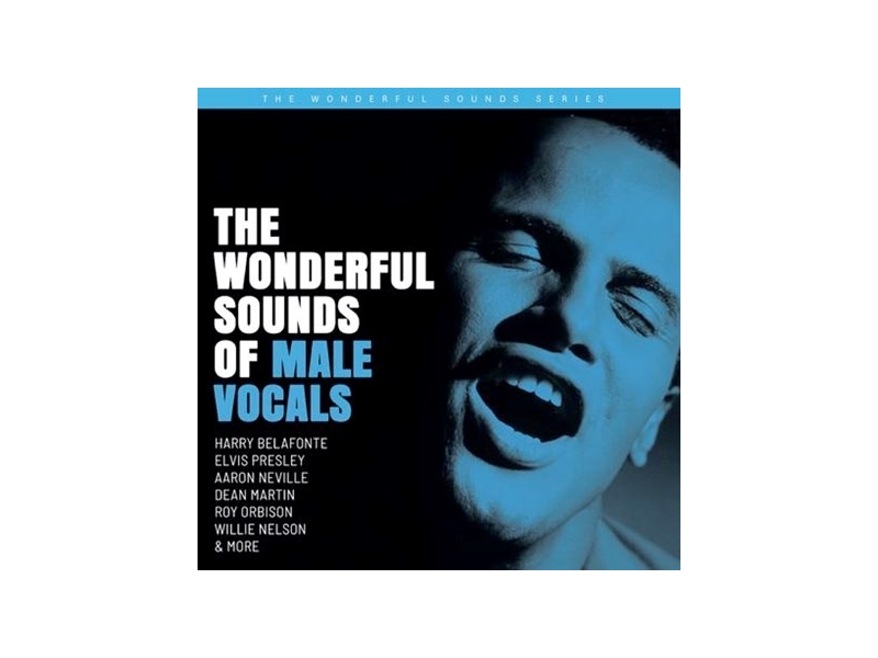 Various Artists - The Wonderful Sounds Of Male Vocals winyl 45 RPM