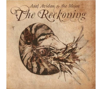 Asaf Avidan -The Reckoning winyl