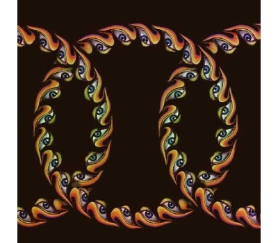 Tool - Lateralus winyl