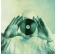 Porcupine Tree - Stupid Dream (remixed & remastered) winyl