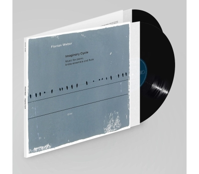 Florian Weber - Imaginary Cycle winyl